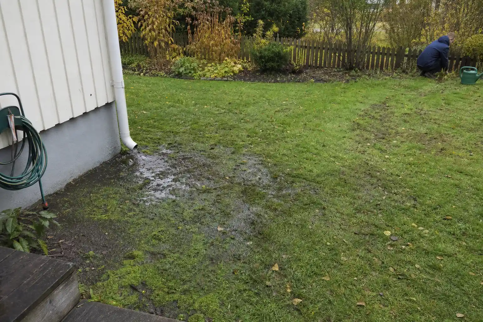Vattensamling och mossa på gräsmatta vid husgrund, ett tecken på hur man vet om dräneringen är dålig
